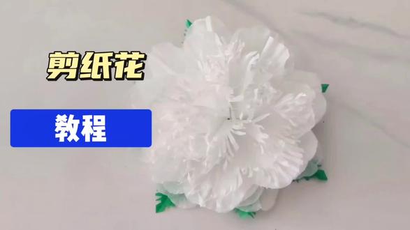 清明剪纸花
教程来喽
#教程
#清明