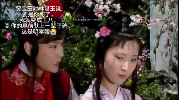 贾宝玉对林黛玉说:
要是你死了 我就变成王八到你的墓前驮上一辈子碑
这是明孝陵
#红楼梦 #明朝#明孝陵#世界文化遗产 #抖音万粉扶持计划
