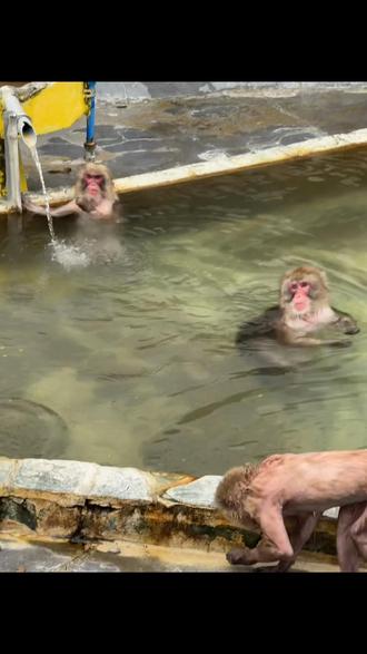 “大乱炖剪辑法”“结尾有个绿茶”
#花絮 #旅行 #雪地里撒欢