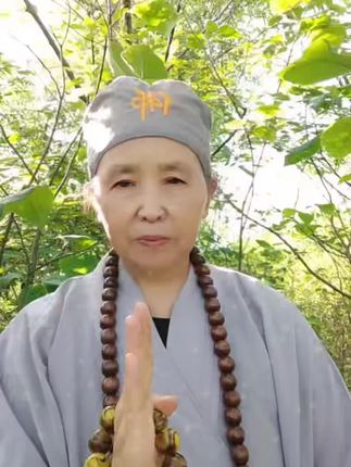 #1970年的狗 #1982年的属狗 #1994年的狗