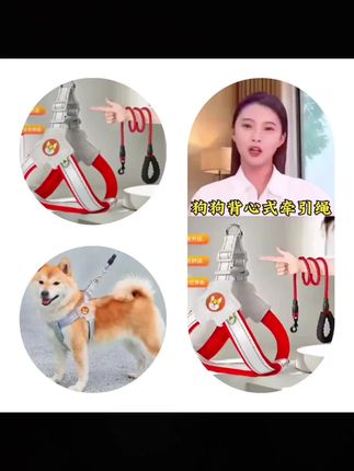 狗狗牵引绳背心式胸背y型宠物胸背带遛狗绳中小型柯基比熊狗链子#牵引绳 #宠物牵引绳 #宠物用品