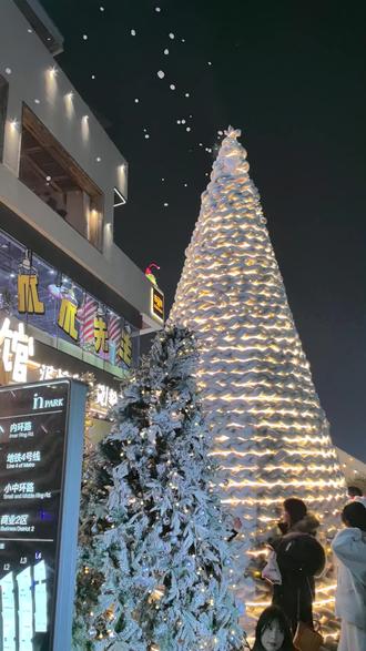 金融岛大圣诞树拍照打卡指南 晚上有灯光更漂亮啊,郑州约拍#郑州 #圣诞节 #圣诞打卡 #摄影 #摄影约拍