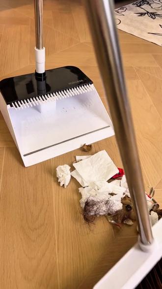 铂硕可按压扫把簸箕套装扫地神奇家用软毛加厚室内卫生间多用#新年好礼季 #新年好物 #铂硕扫把 #室内清洁 #按压扫把