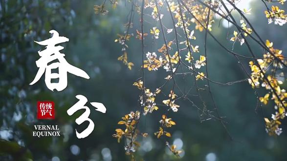 🌞春分到 万物向阳 🍃昼夜均 春色平分 愿四季皆温柔 日日皆欢喜💗#春分 #节气