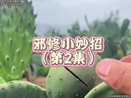 终于知道正派为什么会讨厌邪修了#邪修做饭 #公瑾爆蛋 #鸡蛋的神仙吃法 #糖醋荷包蛋