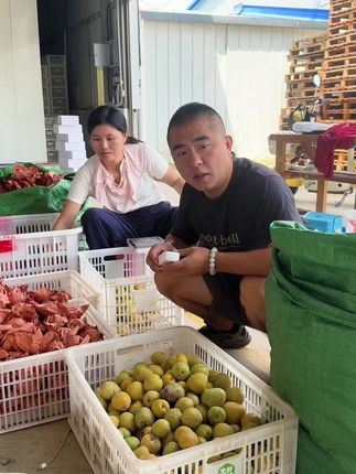 #蜂蜜李,普遍糖度20以上,真正超级甜还蜂蜜味浓郁的李子,千万别错过,千万别错过
