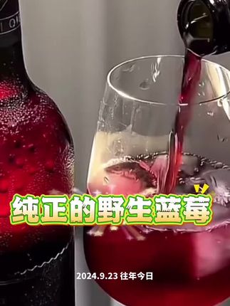 忠芝野生蓝莓酒,富含丰富花青素,家庭聚会喝有面子#蓝莓酒 #野生蓝莓 #微醺时刻 #老把头和老解 #罗凤魁