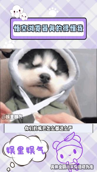 悟空浏览器真的太懂我了#悟空浏览器