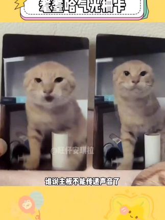 谁能拒绝一张会唱歌的耄耋光栅卡啊 #耄耋 #光栅卡 #玩个很新的东西 #旺仔小乔 #哈基米