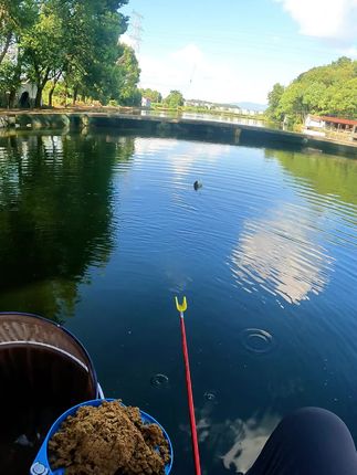 因为你每次玩黑坑都用小黑专业竞技子线双钩,所以你遇到大鱼根本不害怕切线#户外钓鱼 #爱生活爱钓鱼 #钓鱼 #钓鱼🎣 #钓鱼人