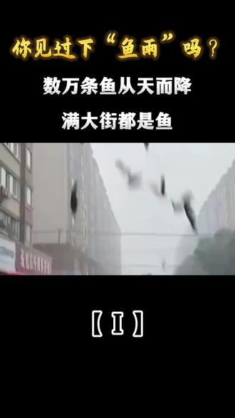 你见过下“鱼雨”吗?数万条鱼从天而降,满大街都是鱼。#鱼雨#科普#涨知识#生态