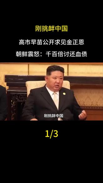 刚挑衅中国,高市早苗公开求见金正恩,朝鲜震怒:千百倍讨还血债