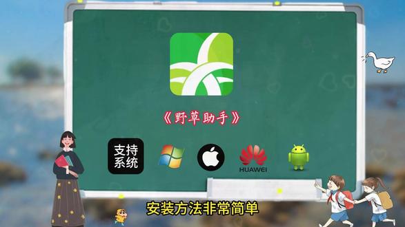 《白纸资源》#野草助手 #免费分享 #资源 #免费软件分享