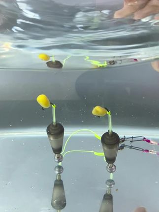 被誉为大鱼收割机,不会陷进淤不挂底,激流走水效果更好,钓不到大鱼的赶快试试 #反底钓组 #欧式钓组 #大鱼钓法 #钓鲤鱼技巧 #串钩