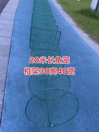 20米长左右鱼笼 框架30高40宽 3股线全有节网布沥水快透气性好不易糊网眼 像5~6斤大的鱼 黑鱼鲶鱼草鱼小龙虾黄骨鱼骨等都可以使用#户外#虾笼#鱼笼