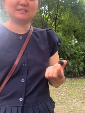 《腕间菩提:无患子手串的千年之约》 #无患子手串 #文玩 #盘串 #菩提 #国风