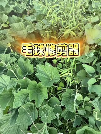 #毛球修剪器 #好物推荐🔥