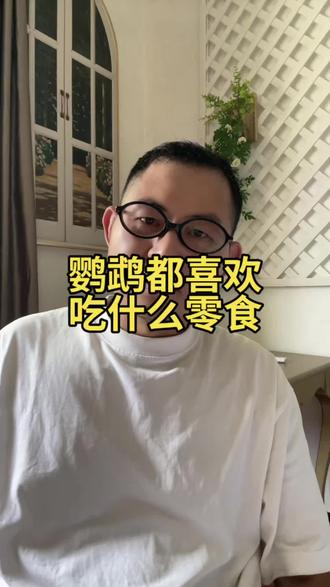 鹦鹉最喜欢的零食#鹦鹉 #萌宠 #萌宠出道计划 #鹦鹉学技能#真实生活分享计划
