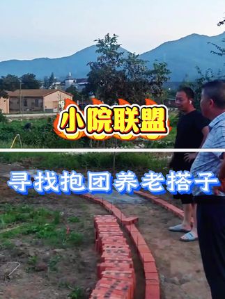 每天十几块,寻找合肥养老搭子,每天种种菜养养花喝喝茶,来到这里困扰多年的失眠都好了#山茶别院#田园生活#养老生活#退休生活#农家小院