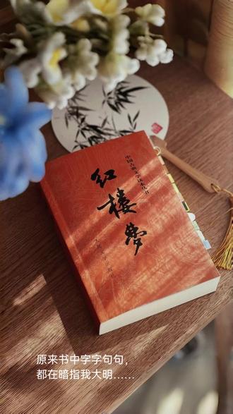 更新了一版,调整了配音剪辑,增加了配图。
终于在2025年最后一个月里突然读懂了《红楼梦》,宝玉对黛玉说“我掉进那个池子里变个大王八……”#红楼梦 #红楼梦解读 #大明王朝 #明孝陵 #乌龟驮碑