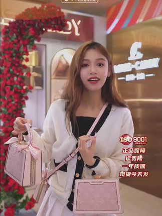 路易卡迪 粉钻盒子包 礼盒装女包#包包推荐 #百搭包包 #新款包包 #时尚美包 #双肩背包