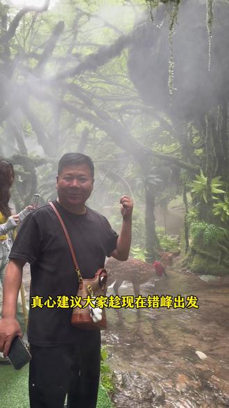 你知道老君山下的森系度假秘境吗,花千谷、花海瀑布、绿野仙踪、莫奈花园等等简直夯爆了,一步一出片氛围感拉满~
#重渡沟是懂浪漫的#一步一出片夯爆了重渡沟#老君山下的森系度假秘境#邓州同城 #邓州小将