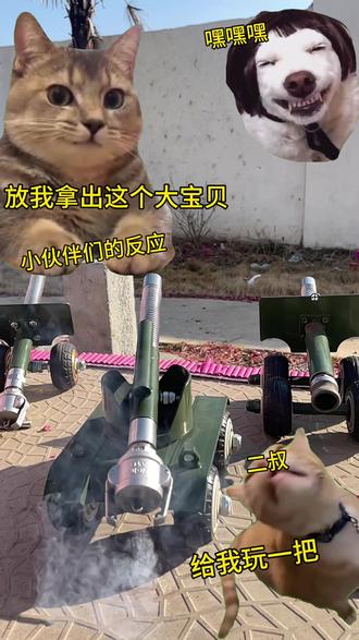 国外封闭场地#放鞭炮神器#回膛放鞭炮#男孩玩具 #春节玩具#放鞭炮