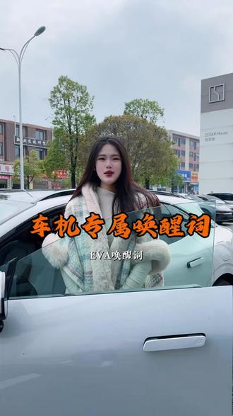 您的车机专属唤醒词#极氪#zeekr #岳阳极氪家