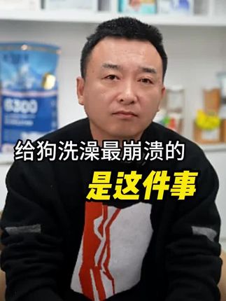 给狗狗洗澡最崩溃的事情是什么。#狗狗健康 #狗狗洗澡