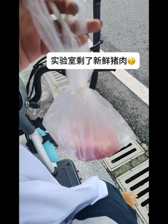 我学食品就这样🐱👩🏻🍳
#校猫 #猫咪大厨