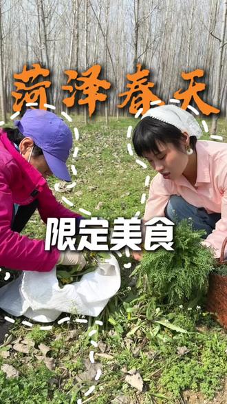 菏泽的这个春天,味道十分美味,你们的春天美食吃上了吗?#菏泽 #菏泽美食 #挖野菜的乐趣 #春天 #用抖音记录人生