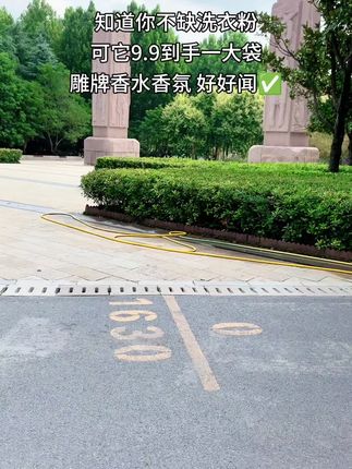 雕牌又又又来活动了!现在9.9就到手一大袋洗衣粉,洗完衣服香喷喷的,大品牌还是值得信赖的!#洗衣粉 #去污渍 #超便宜超划算 #雕牌洗衣粉 #强烈推荐