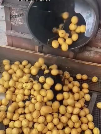 #手剥烤核桃 #优质农产品 #桃核 #皮薄肉厚 #口感非常好