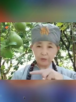 #65年的蛇 #77年的蛇 #89年的蛇