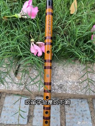 初学入门竹笛|精选苦竹材质,音准稳定,送全套教学配件#笛子 #竹笛#笛子演奏 #新手