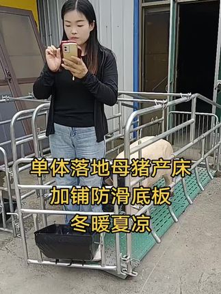 #简易母猪产床#落地母猪产床 #产床漏粪板