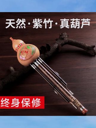 葫芦丝乐器初学c调成人小学生专用降b调品牌专业演奏型紫竹葫芦丝 #紫竹葫芦丝 #葫芦丝 #外卖小哥