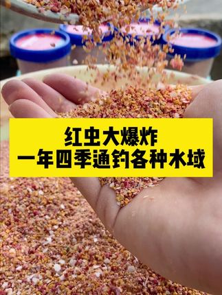 一虫二虾三蚯蚓,这就是比活饵还好用的红虫虾肉冻干饵,一年四季通钓各种水域,专攻鲫鲤青草鳊等鱼种#爆护饵料 #鱼饵 #一杯搞定 #一杯搞定饵料 #一杯搞定红虫大爆炸