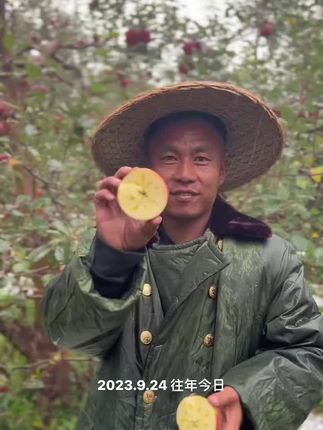 大凉山丑苹果,其实一点都不丑!
