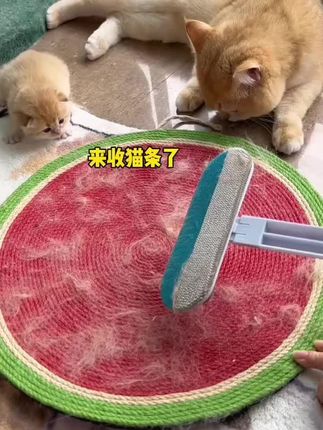 【养宠好物】多功能刷毛神器除毛刮毛粘毛清理器猫毛小狗毛沙发地 【养宠好物】多功能刷毛神器除毛刮毛粘毛清理器猫毛小狗毛沙发地毯