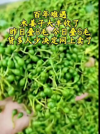 山里采的野生木姜子,做成木姜子油,也就是山胡椒油,太香了!拿来拌凉菜,煮面粉煮鱼起锅加点可香啦!!#纯手工制作 #山胡椒油 #木姜子酱#木姜子