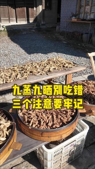 伏牛山下山货黄姜!! 九蒸九晒别吃错,炒菜炖汤都香!#三农 #山货 #生姜 #姜 #现挖现发