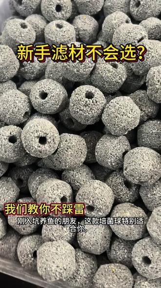 新手滤材不会选?#新手养鱼入门指南 #鱼缸过滤材料