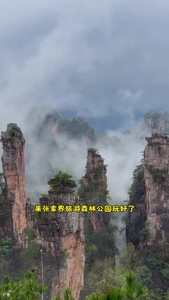 一件也是批发价的土特产不要错过哦#湖南张家界旅游 #仙境张家界、峰迷全世界 #都在买的零食清单 #湘当经典湖南特产礼批发 #好吃的特产推荐