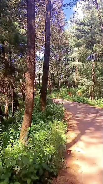 梁王山与他那独特的地貌奇观,站在山顶,看那一望无际的天空中漂浮着几朵白云,在蔚蓝的天空掩映下湖水是那样湛蓝,那样晶莹透彻