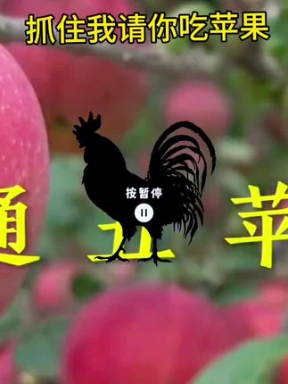 抓住截屏发评论区,请吃苹果#我要上热们 #重要事情说三遍 #创作人计划