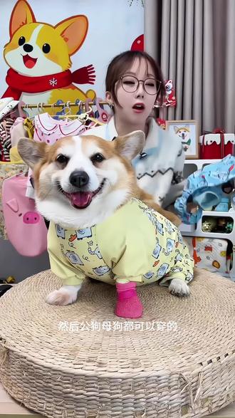 宠物狗狗肚兜衣服四脚全包防着凉防水狗柯基雨衣防脏护肚衣防尘裤#萌宠 #狗狗 #狗狗雨衣 #防尘裤 #宠物服