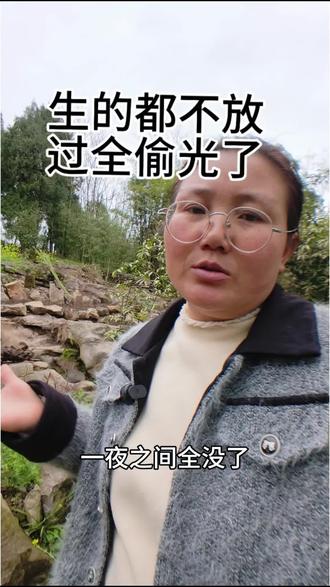 辛辛苦苦盼了大半年的牛咪,突然之间被人偷得精光,生的还不能吃,都不放过。不是心疼果子,是心寒这种行为。家人们,你们遇到过这样的事吗?#生活感悟 #中年女人的心里话 #人生感悟口播 #情感口播 #现实人生