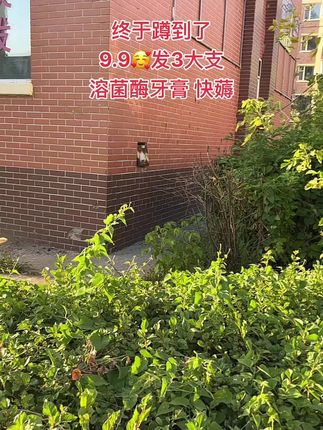姐妹们,赶紧来囤牙膏,9块9到手3大支 #溶菌酶牙膏 #牙膏