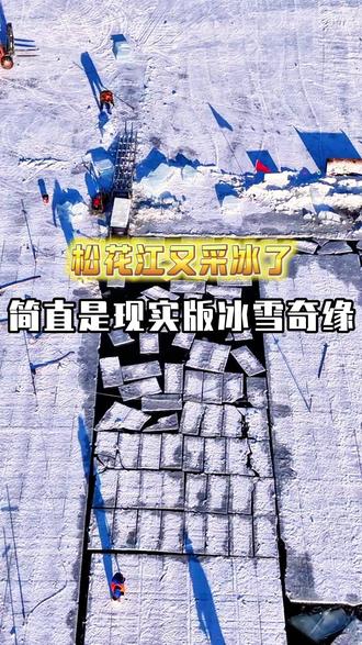 松花江上又采冰了,看到了现实版冰雪奇缘#哈尔滨 #冰雪大世界 #采冰